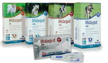 Midaspot*spot on 4pip 80mg