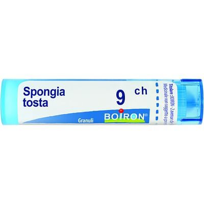 Spongia tosta 15ch 4g boi