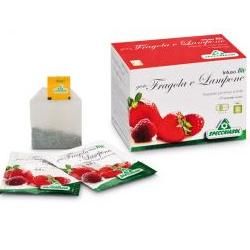 Infuso fragola/lampone 20bust