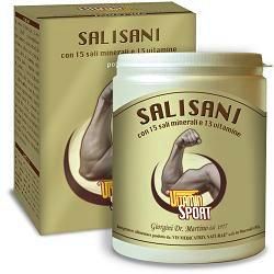 Salisani vitaminsport 360g pol