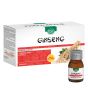 Ginsengplus 10 fiale x 30 ml